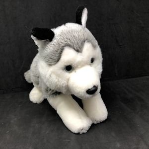 Animal store alley husky